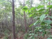 198 220 Dock Ridge Road, Avondale, NL, A0A 1B0 vacant...