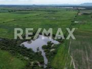 198 Hectáreas agrícolas en venta 4