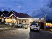 19.8M Presidential Style House Single House and Lot with...