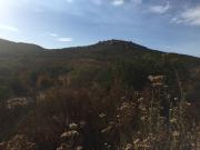 19 Hectareas En Ojos Negros 3