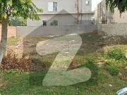 19 Marla Plot Available For Sale