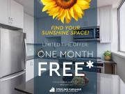 19 Rosemount Drive 2bdrm [object Promise] for Rent