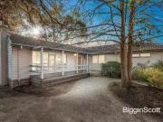 19 Shirley Avenue, Glen Waverley, VIC 3150