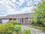 19 Townsend Street, Glen Waverley