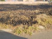 1 000 m² Land available in Struisbult