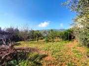 1.000 / mese, 100 Mq Tecnocasa.it 61053737