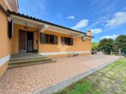 1.000 / mese, 110 Mq Tecnocasa.it 61128546