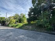 1,050 sqm Vacant Lot for Sale in Ayala Alabang Village...