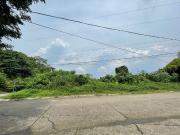 1,081 sqm Lot Area with Lush Mountain for Sale at Ma....