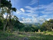 1,081 sqm Lot for Sale in Maria Luisa Cebu with Lush...