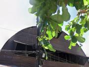 1,100 sqm Warehouse for Lease in Sta. Mesa, Manila