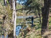 1,140 Acres | 2.5km Macdonald River Frontage | Scale,...