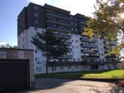 1 19 Rosemount Drive Apartments for Rent 1 Rosemount Dr...