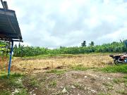 1.1 Hectares Vacant Residential Lots in Kaybagal Central...