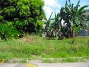 1,200 sqm Enormous Vacant Lot for Sale in Forbes Park,...
