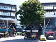 1,200sqm Office Space or Showroom