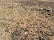 1.2 ha Land available in Hamilton