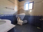 1.2 kanal double storey house is available for rent in i...