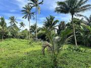 1,722 sqm Vacant Agricultural Lot in Kaytitinga 1...