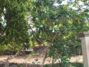 1,377 sqm Vacant Lot for Sale in Valle Verde 4, Pasig City