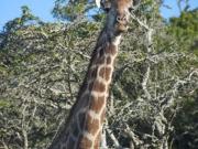 1 410 m² Land available in Kragga Kamma