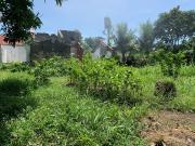 1,435 sqm Residential Lot for Sale in Saint Jude Acres,...