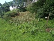 1 471 m² Land available in Reservoir Hills