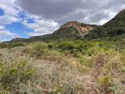 1.4 ha Land available in Colchester