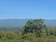 1.4 Hectare Land in Claveria with Breathtaking view