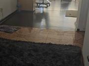 1.5 Bedroom Apartment in North Beach