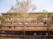 1.5 Bedroom Flat in Sunnyside