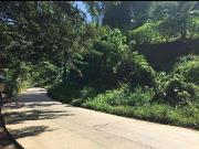 1.5 Hectares lot for sale in Cebu city 1.5 Hectares lot for sale in Cebu city