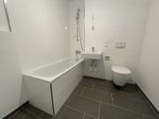 1,5 Zimmer Wohnung am Siemensdamm!