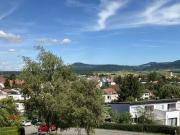 1,5 Zimmer Wohnung kaufen in Aldingen 78554 33,51 m²