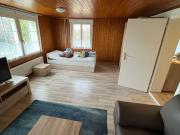 1.5 Zimmer Wohnung nahe See und Schlosspark