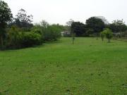 1 620 m² Land available in Crestholme