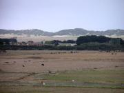 1.6 Acres with views