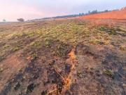 8 500 m² Farm in Elandsfontein AH