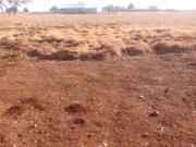 1.7 ha Land available in Sundra