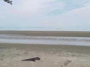1.7Hectares Beach lot for Sale in Roxas Palawan
