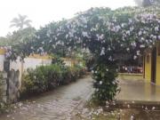 1.800 m² Aconchegante chácara em São Lourenço da Serra...