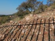 1.8 ha Land available in Florauna