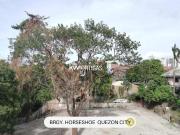 1,989 sqm. Vacant Lot For Sale in Brgy. Horseshoe Quezon...