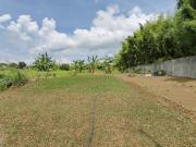 1.9 Hectares Commercial Lot for Sale in Bacolod City,...