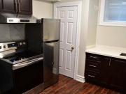 1 Bed 1 Bath Apartment