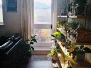 1 Bed Flat, Basque Court, SE16