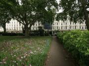 1 Bed Flat, Cambridge Street, SW1V