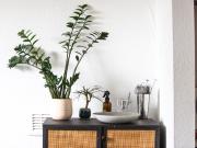 1 Bed Flat, Dalston Lane, E8