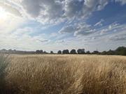 1 Bed Flat, Essex Wharf, E5