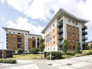 1 Bed Flat in Royal Docks Available Today
